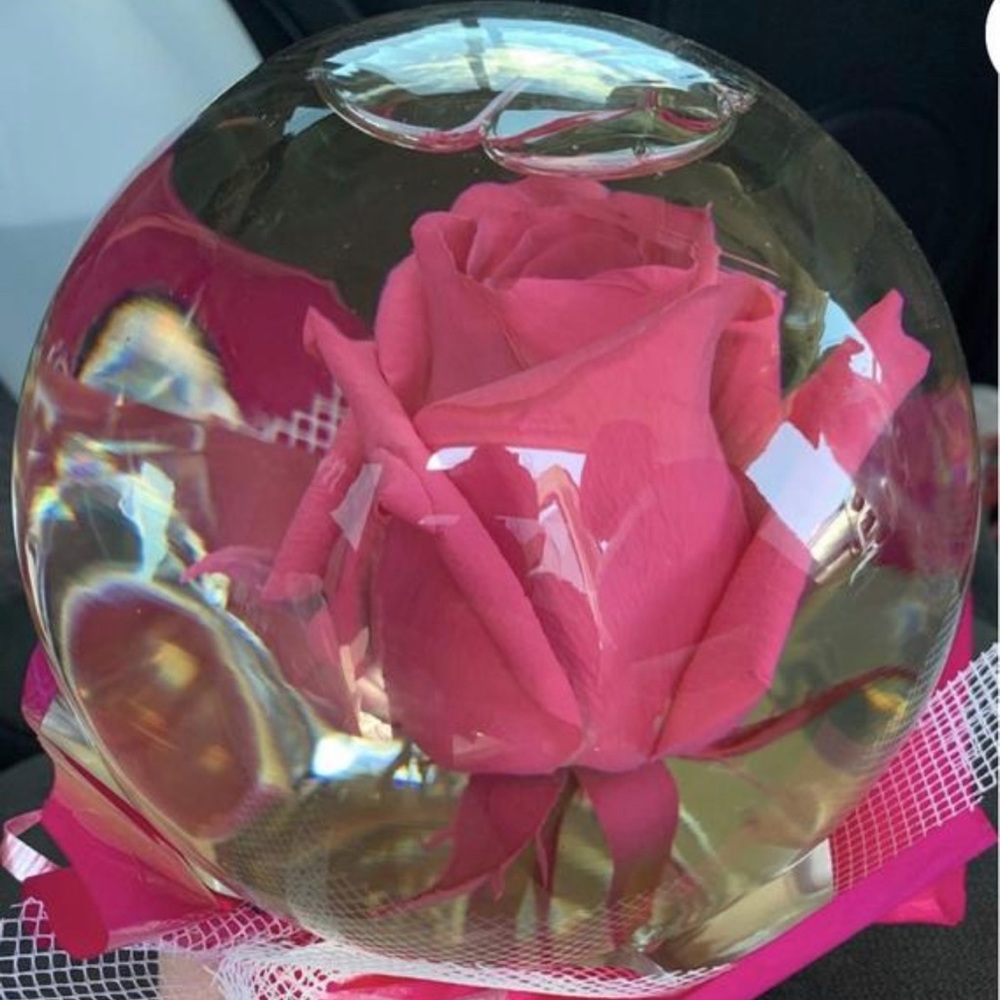 Real Rose Globe 💖